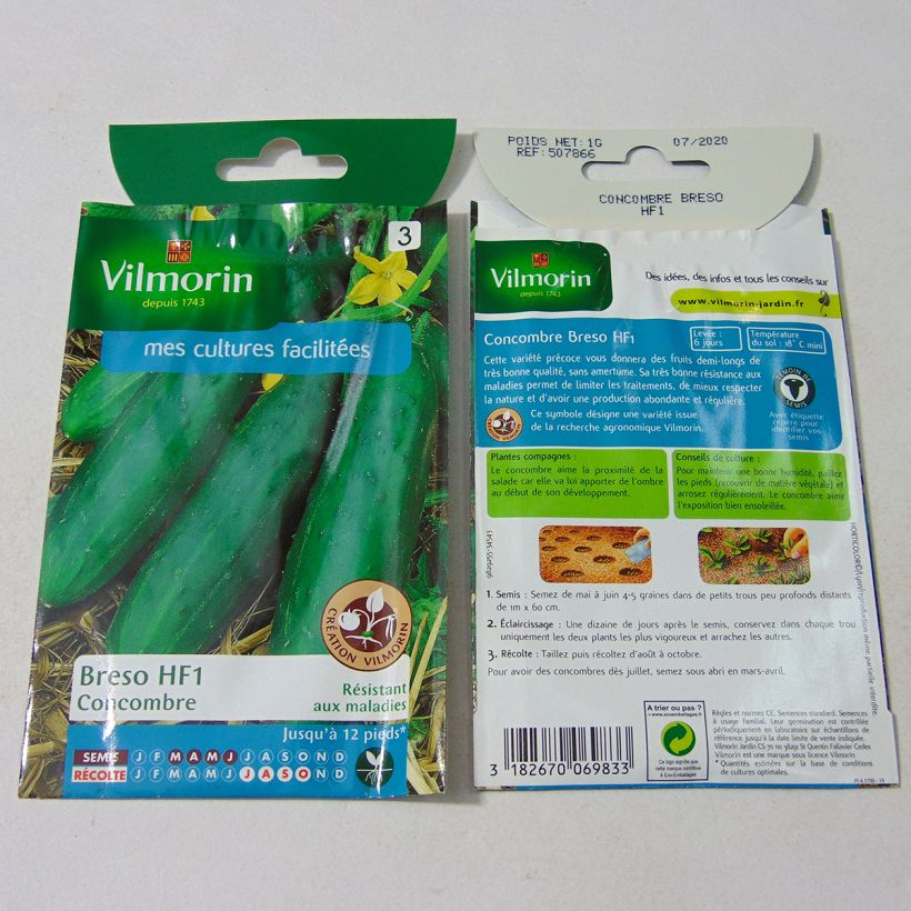 Exemple de spécimen de Concombre Breso F1 (Création Vilmorin) - Vilmorin le sachet de 35 graines environ (1g) tel que livré