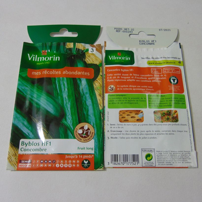 Exemple de spécimen de Concombre Byblos (Création Vilmorin) - Vilmorin le sachet de 35 graines environ (1g) tel que livré