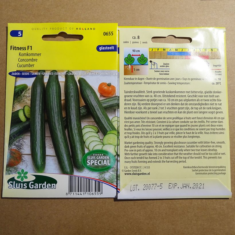 Exemple de spécimen de Concombre Fitness F1 - Cucumis sativus le sachet de 8 graines environ tel que livré