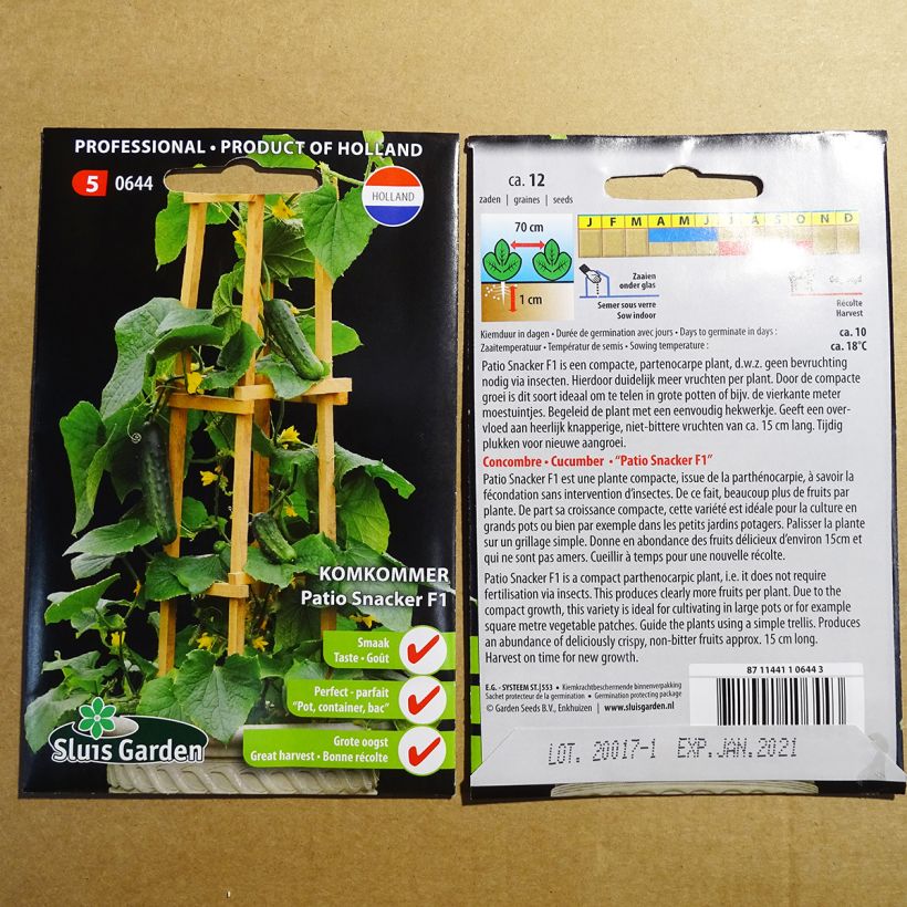 Exemple de spécimen de Concombre Patio Snacker F1 - Cucumis sativus le sachet de 12 graines environ tel que livré