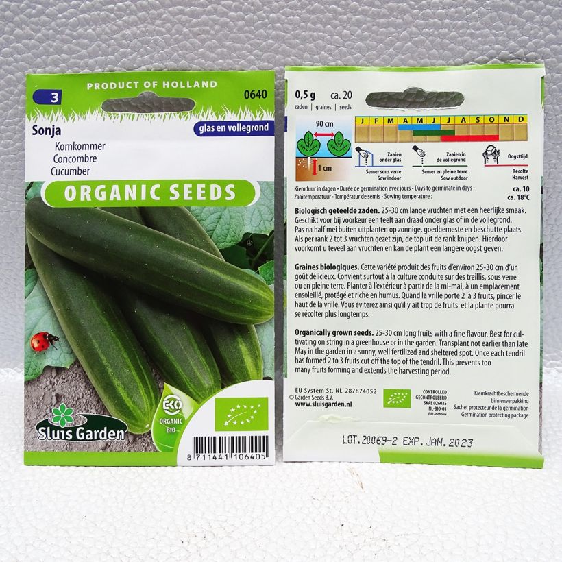 Exemple de spécimen de Concombre Sonja Bio - Cucumis sativus le sachet de 30 graines environ (1g) tel que livré