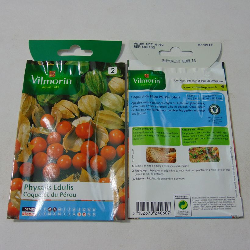 Exemple de spécimen de Coqueret du Pérou - Physalis edulis - Vilmorin le sachet de graines de 0.6 grammes tel que livré