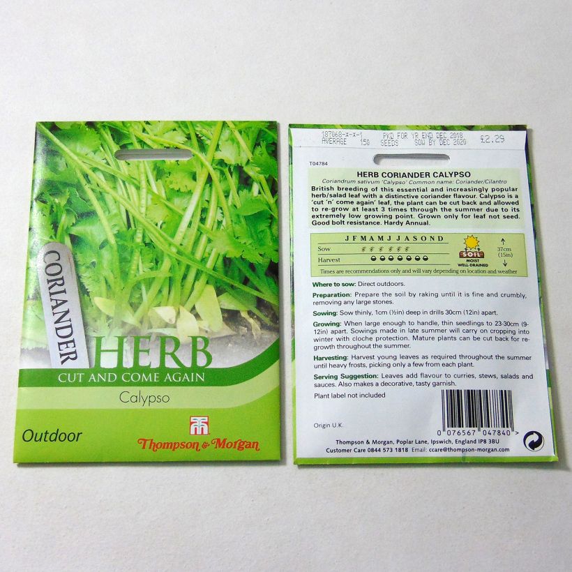 Exemple de spécimen de Coriandre Calypso le sachet de 150 graines environ tel que livré