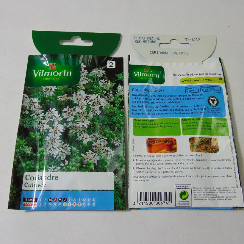 Exemple de spécimen de Coriandre cultivée - Vilmorin le sachet de 360 graines environ (4g) tel que livré