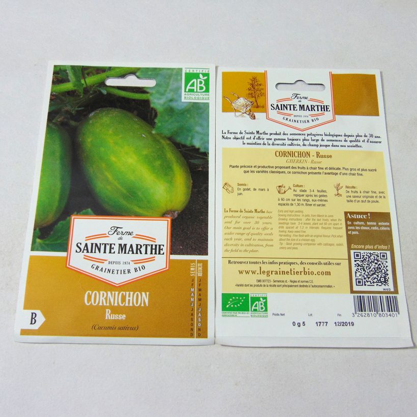 Exemple de spécimen de Cornichon Russe Bio - Ferme de Sainte Marthe le sachet de 20 graines environ tel que livré