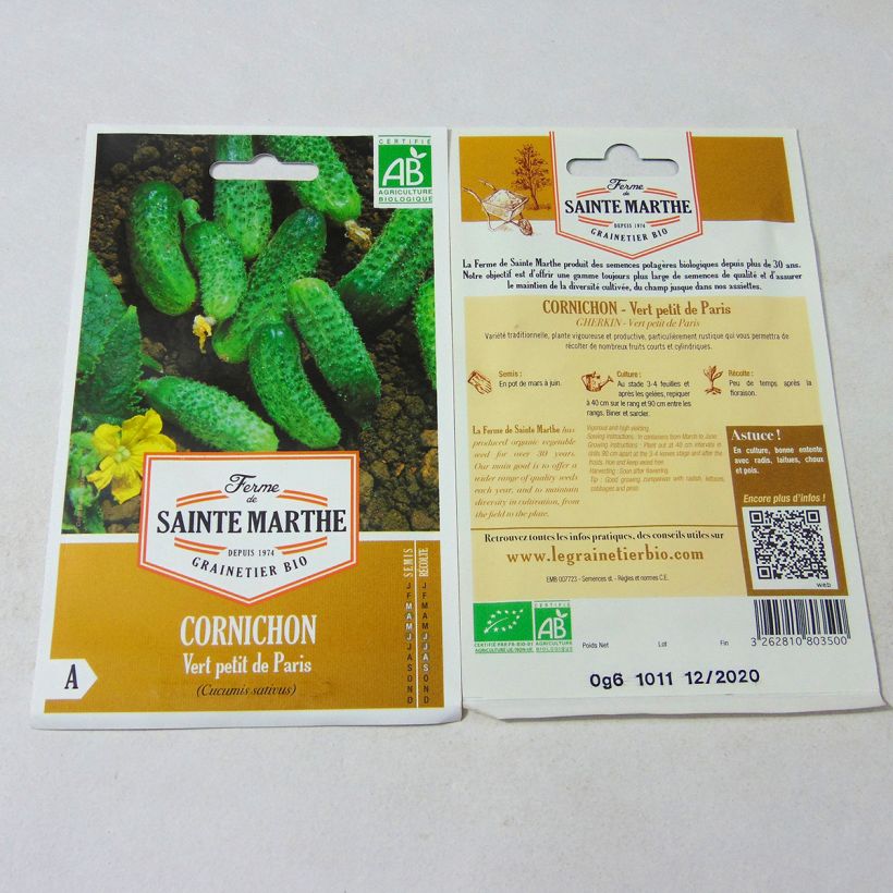 Exemple de spécimen de Cornichon Vert Petit de Paris Bio - Ferme de Sainte Marthe le sachet de 20 graines environ tel que livré