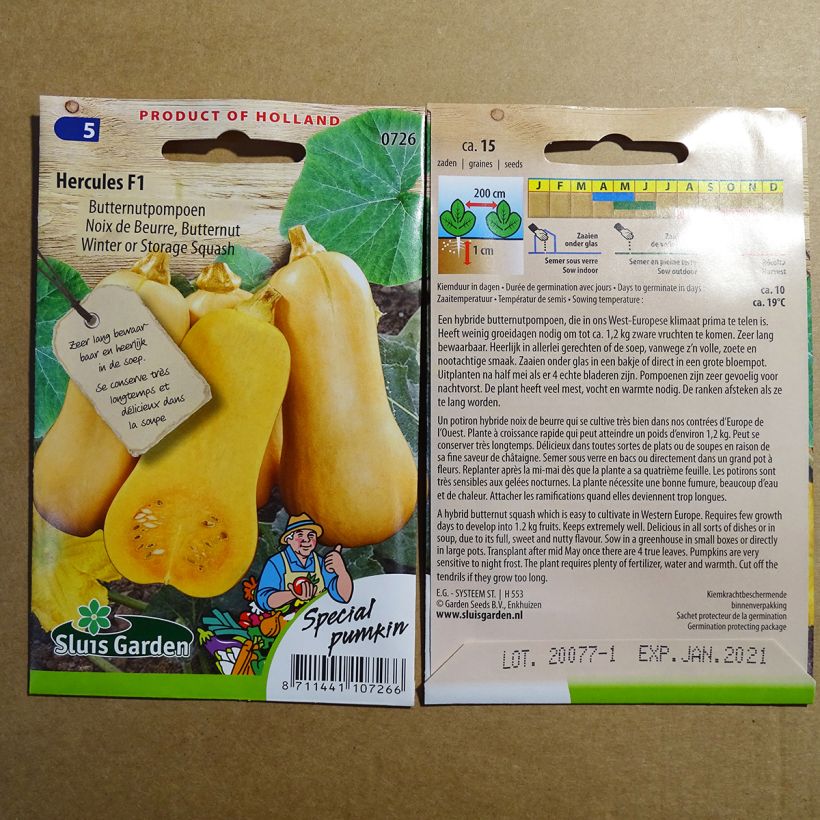 Exemple de spécimen de Courge Butternut Hercules F1 le sachet de 15 graines environ (5g) tel que livré