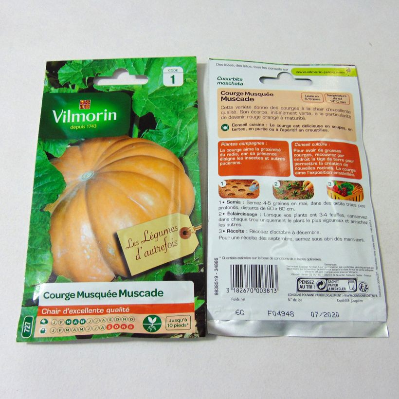 Exemple de spécimen de Courge Musquée Muscade de Provence - Vilmorin le sachet de 35 graines environ (6g) tel que livré