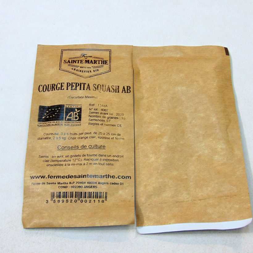 Exemple de spécimen de Courge Pepita Squash Bio - Ferme de Sainte Marthe  le sachet de 20 graines environ (6g) tel que livré