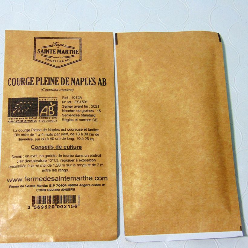 Exemple de spécimen de Courge Pleine de Naples Bio - Ferme de Sainte Marthe  le sachet de 15 graines environ (2g) tel que livré