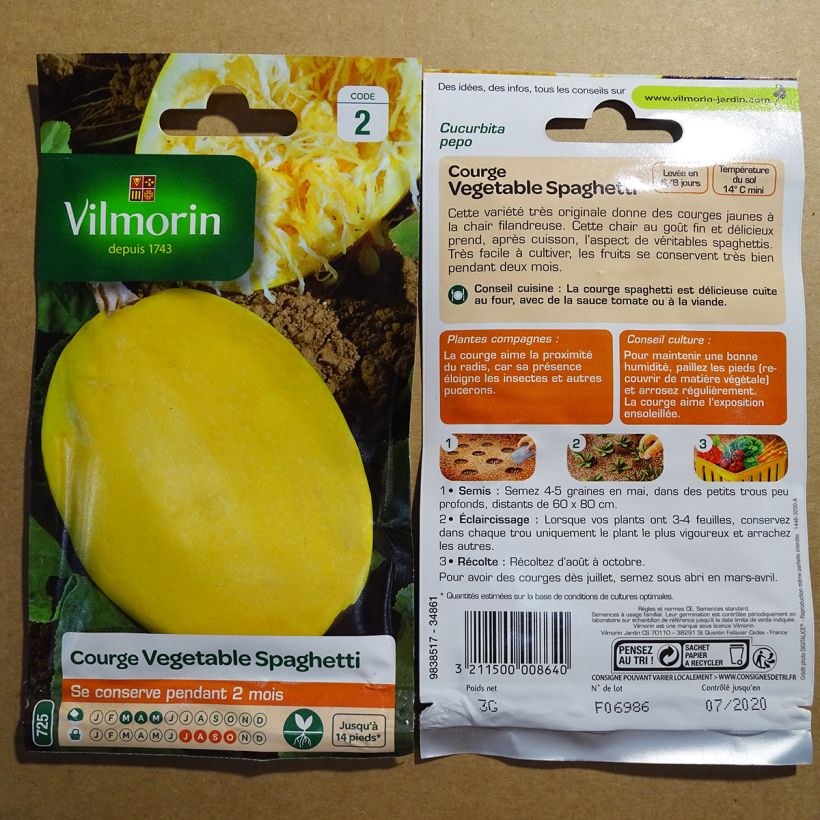 Exemple de spécimen de Courge Spaghetti végétal - Vilmorin le sachet de 15 graines environ (3g) tel que livré
