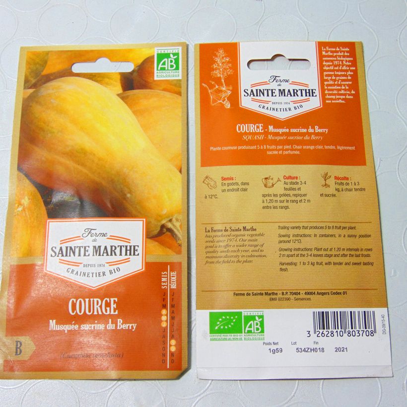Exemple de spécimen de Courge Sucrine du Berry Bio - Ferme de Sainte Marthe le sachet de 8 graines environ (1.2g) tel que livré