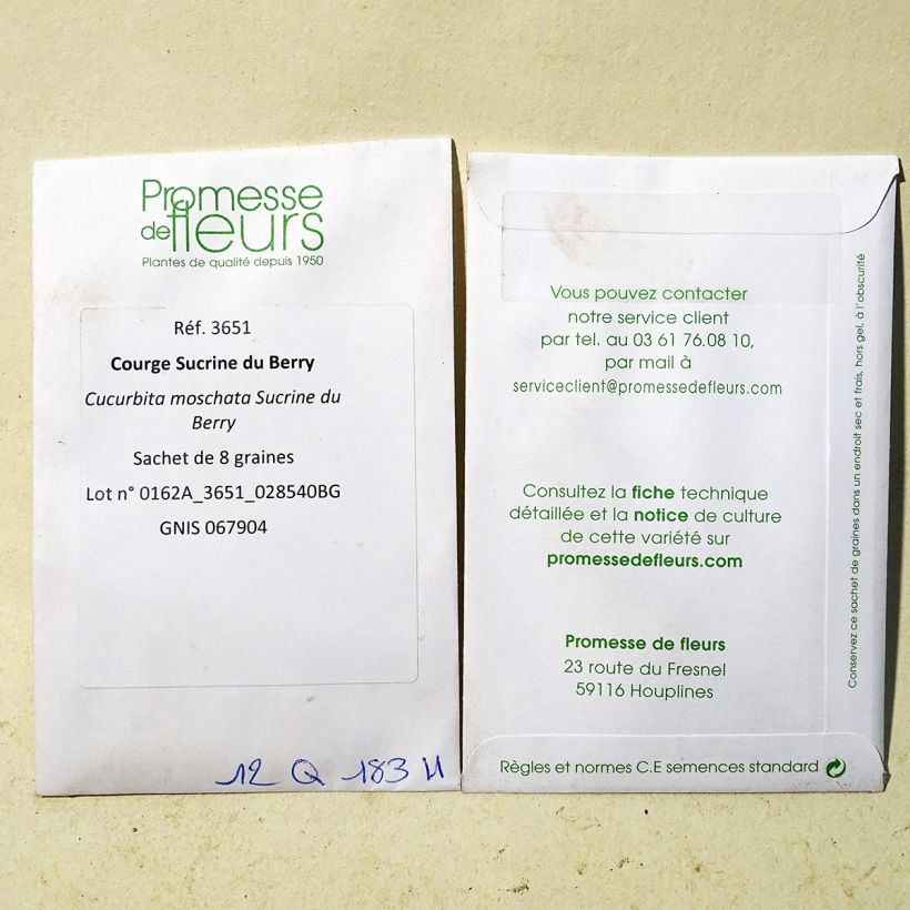 Exemple de spécimen de Courge Sucrine du Berry - Cucurbita moschata le sachet de 8 graines environ tel que livré