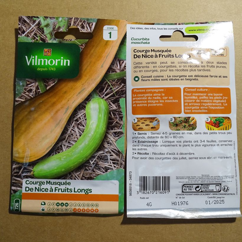 Exemple de spécimen de Courge de Nice à fruits longs -Vilmorin le sachet de 24 graines environ (4g) tel que livré