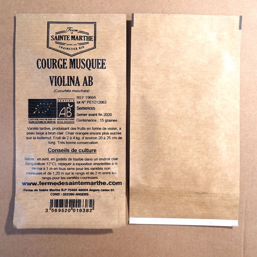 Exemple de spécimen de Courge musquée Violina bio - Ferme de Sainte Marthe Sachet de 15 graines tel que livré