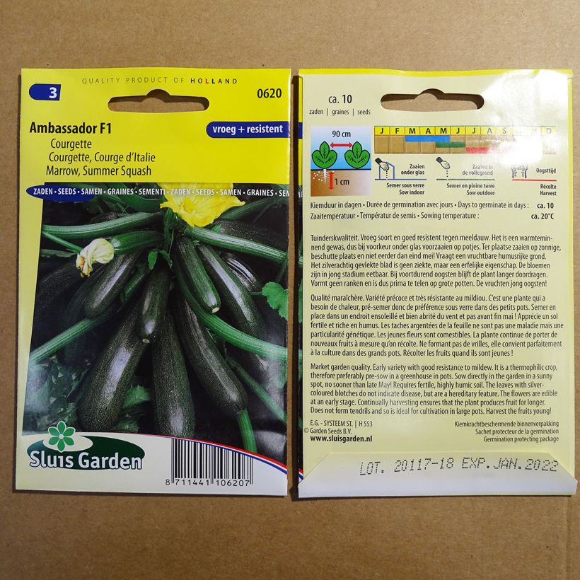 Exemple de spécimen de Courgette Ambassador F1 le sachet de 10 graines environ tel que livré