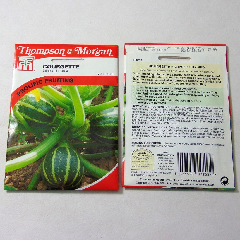 Exemple de spécimen de Courgette Eclipse F1  le sachet de 10 graines environ tel que livré