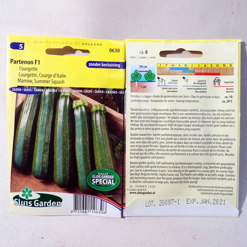 Exemple de spécimen de Courgette Partenon F1 - Cucurbita pepo le sachet de 8 graines environ tel que livré