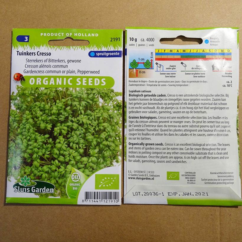 Exemple de spécimen de Cresson alénois Bio - Lepidium sativum le sachet de 3650 graines environ (10g) tel que livré