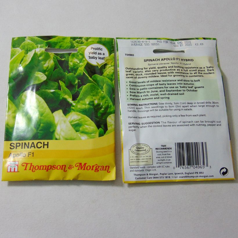 Exemple de spécimen de Epinard Apollo  le sachet de 500 graines environ tel que livré