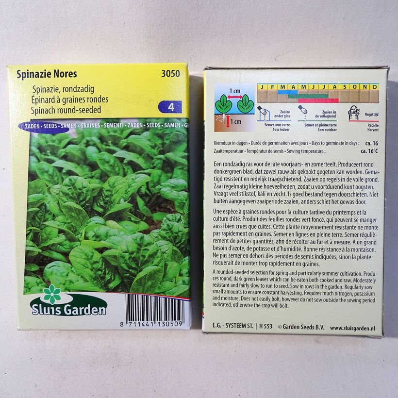 Exemple de spécimen de Epinard Nores - Spinachia oleracea le sachet de 900 graines environ (90g) tel que livré