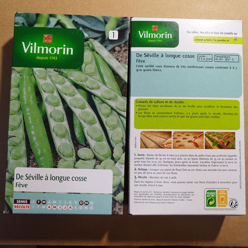 Exemple de spécimen de Fève de Séville à Longue cosse - Vilmorin le sachet de 125 graines environ (250g) tel que livré