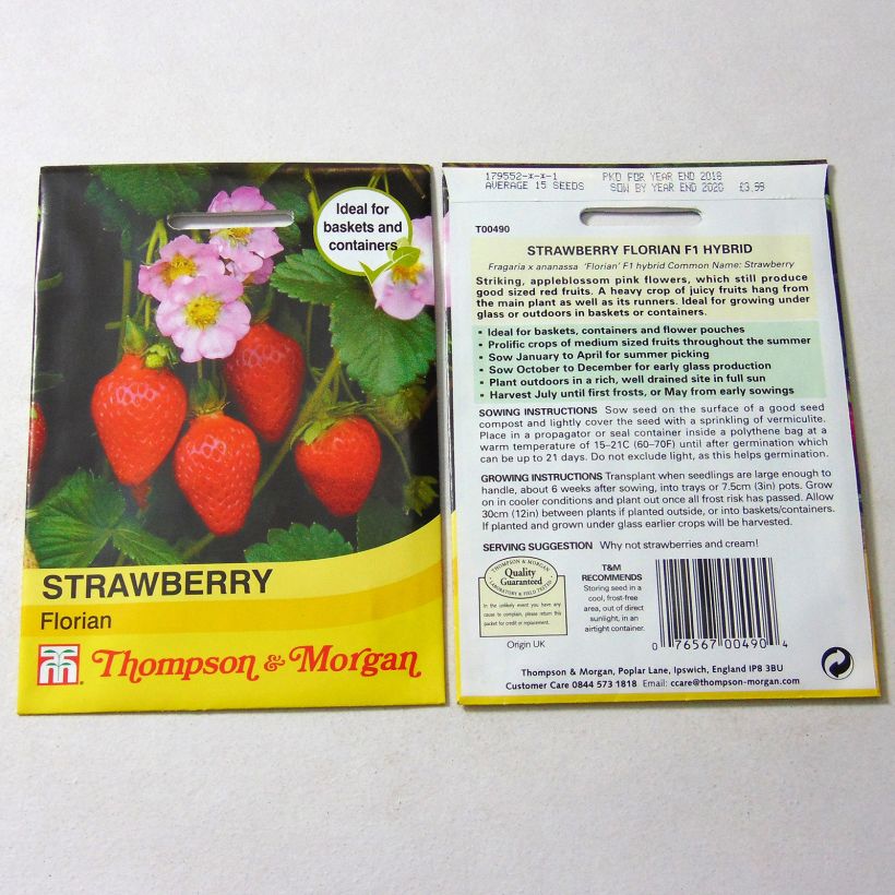 Exemple de spécimen de Fraisier Florian F1 - Fraises des jardins le sachet de 15 graines environ tel que livré