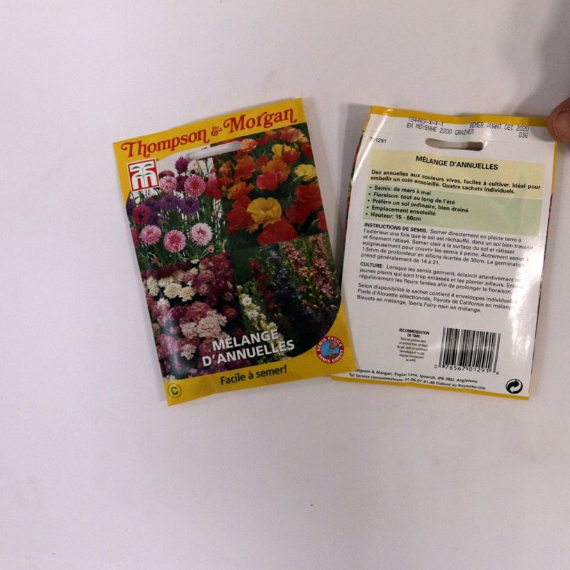Exemple de spécimen de Graines Mélange d'annuelles - Easy Annuals Fairy Mixed le sachet de graines de 2 grammes tel que livré
