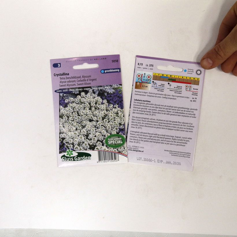 Exemple de spécimen de Graines d'Alysse odorant Crystallina - Lobularia maritima le sachet de 375 graines environ tel que livré