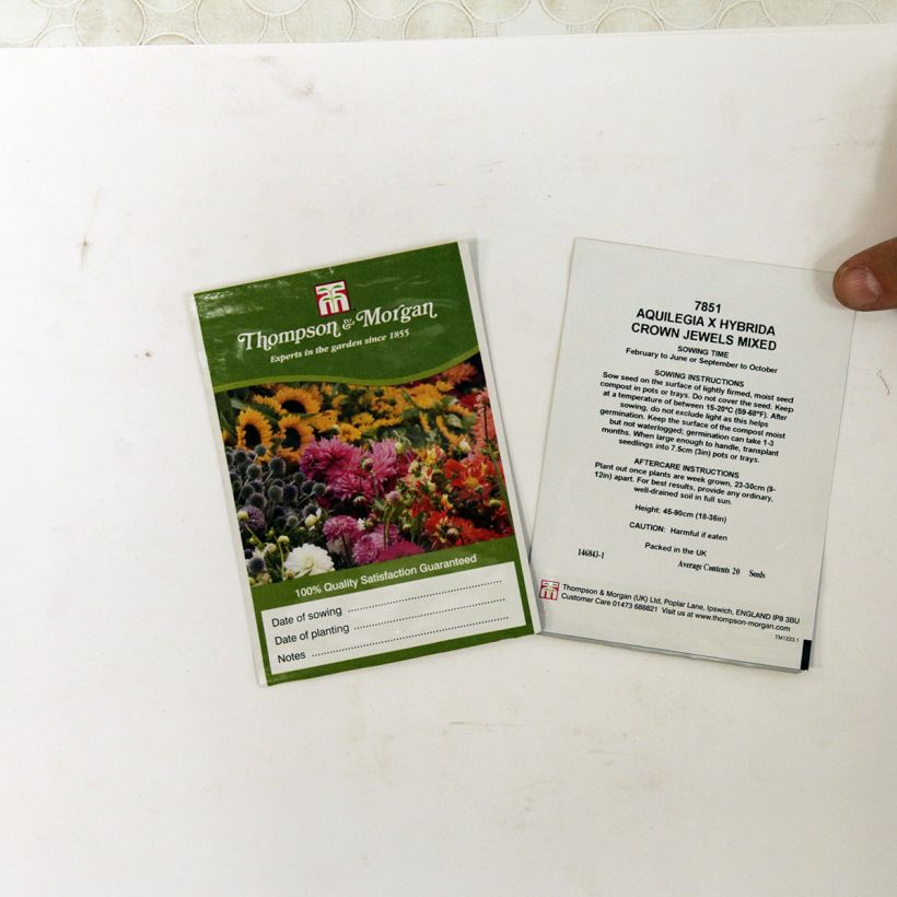 Exemple de spécimen de Graines d'Ancolie des jardins Crown Jewels Mixed - Aquilegia x hybrida le sachet de 20 graines environ tel que livré