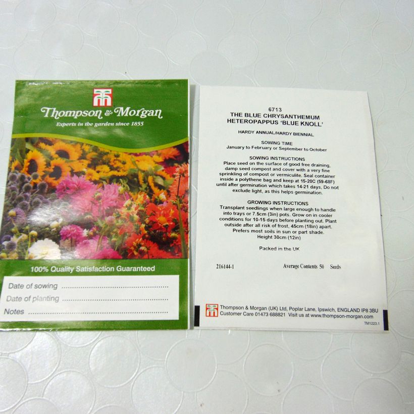 Exemple de spécimen de Graines d'Heteropappus meyendorffii Blue Knoll le sachet de 50 graines environ tel que livré