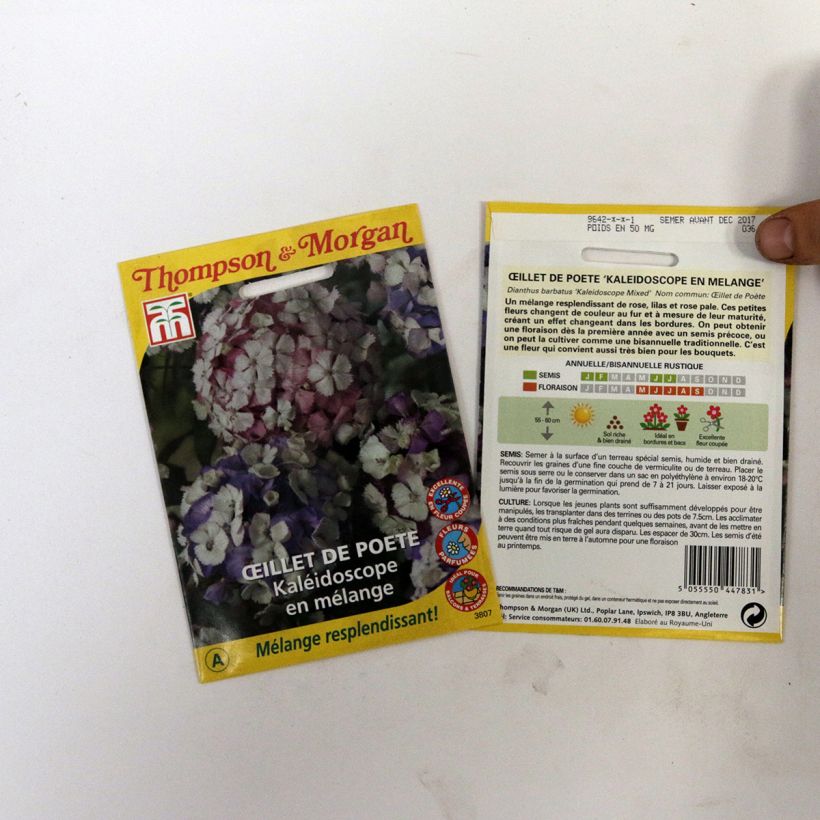Exemple de spécimen de Graines d’Oeillet de poète Kaleidoscope en mélange - Dianthus barbatus le sachet de 40 graines environ tel que livré