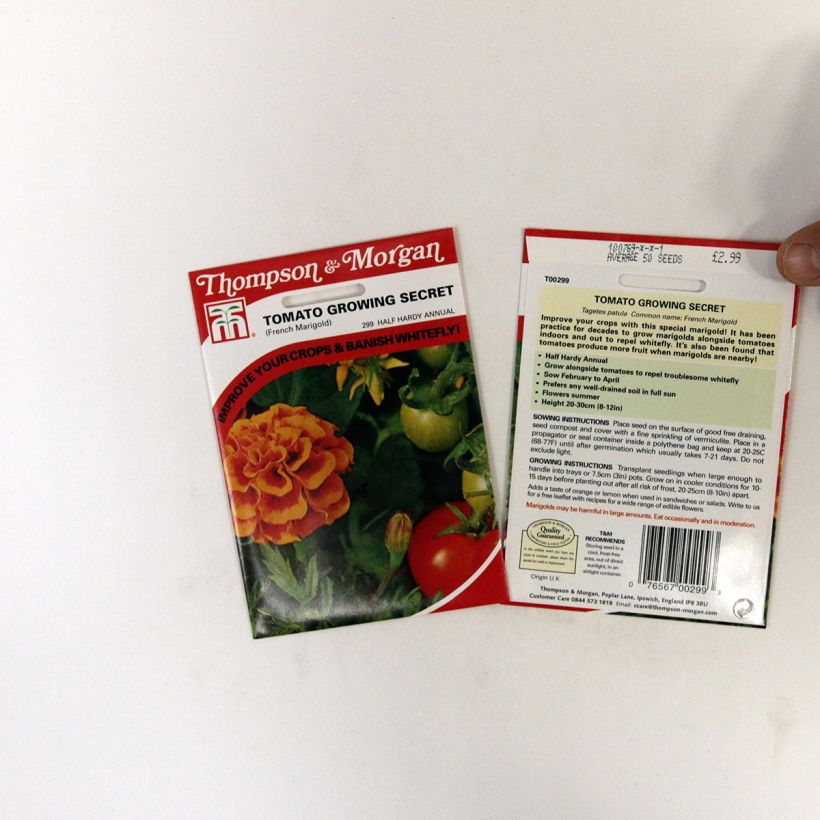 Exemple de spécimen de Graines d'Oeillet d’Inde Tomato Growing Secret - Tagetes patula le sachet de 50 graines environ tel que livré