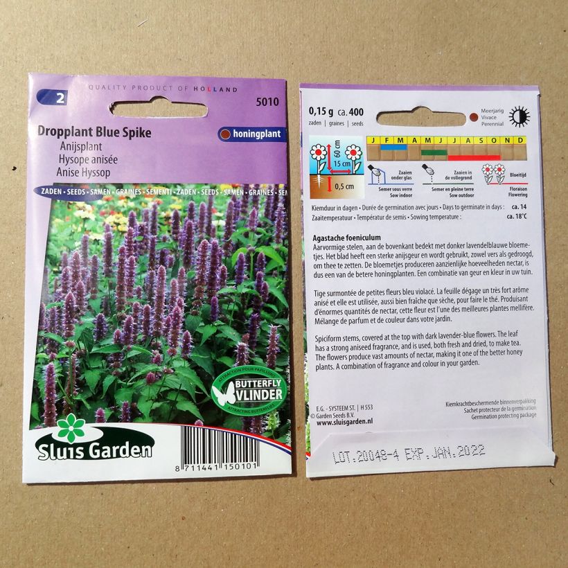 Exemple de spécimen de Graines d'Agastache foeniculum Blue Spike - Hysope anisée le sachet de graines de 0.15 grammes tel que livré
