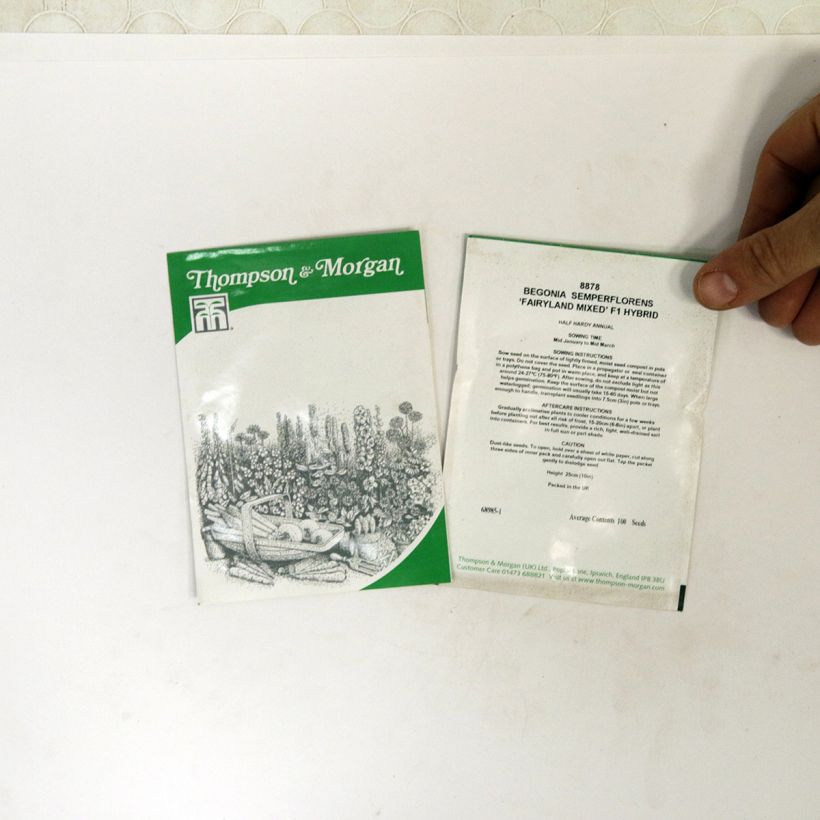 Exemple de spécimen de Graines de Bégonia semperflorens Fairyland Mixed le sachet de 100 graines environ tel que livré