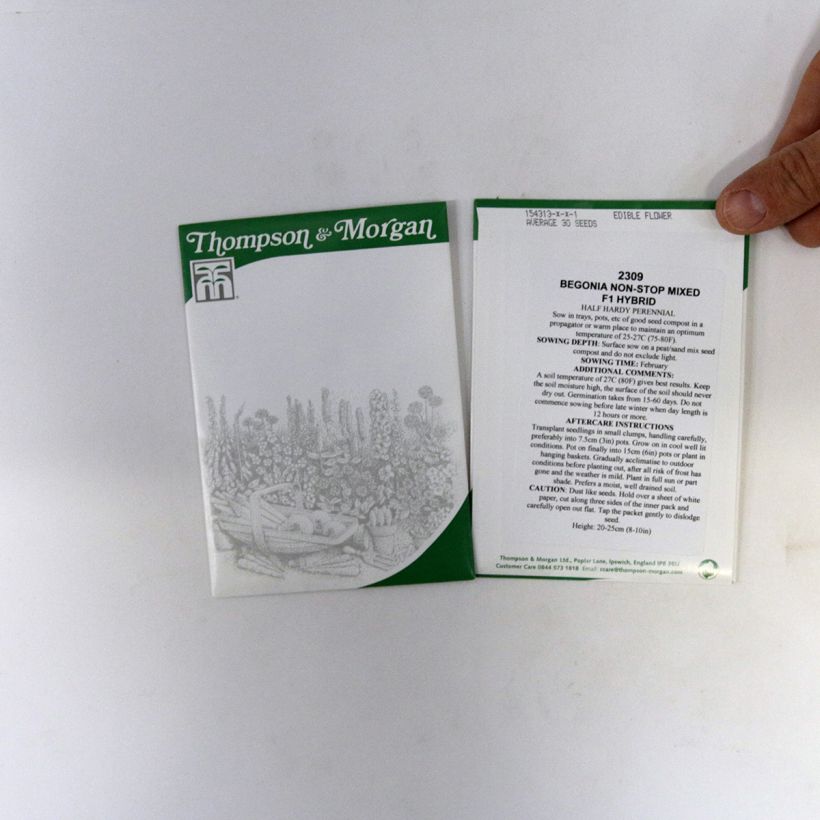Exemple de spécimen de Graines de Bégonia tubéreux Non-Stop Mixed F1 - Begonia x tuberhybrida le sachet de 40 graines environ tel que livré
