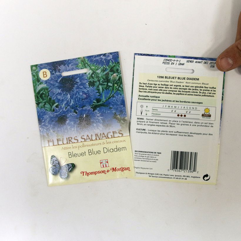 Exemple de spécimen de Graines de Centaurée bleuet Blue Diadem - Centaurea cyanus le sachet de 200 graines environ tel que livré