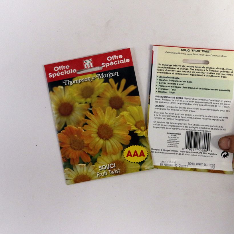 Exemple de spécimen de Graines de Calendula officinalis Fruit Twist - Souci des Jardins nain le sachet de 80 graines environ tel que livré