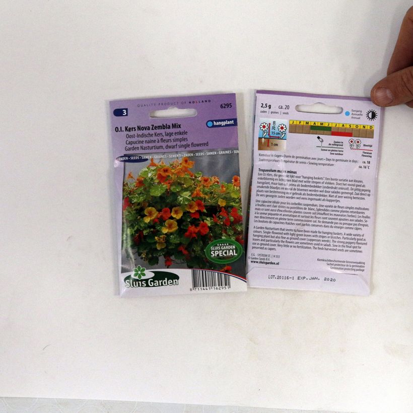 Exemple de spécimen de Graines de Capucine naine Nova Zembla - Tropaeolum majus le sachet de 20 graines environ tel que livré