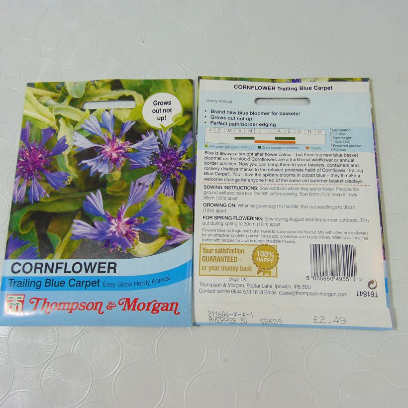 Exemple de spécimen de Graines de Centaurée cyanoides Trailing Blue Carpet le sachet de 30 graines environ tel que livré