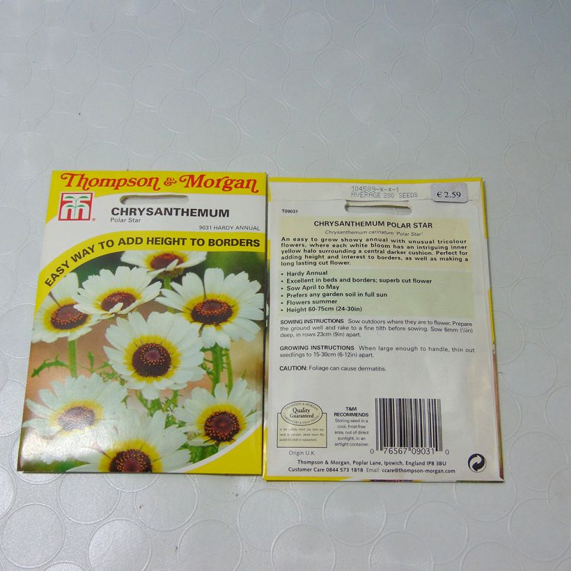Exemple de spécimen de Graines de Chrysanthème à carène Polar Star - Chrysanthemum carinatum le sachet de +/- 300 graines environ (minimum 1g) tel que livré