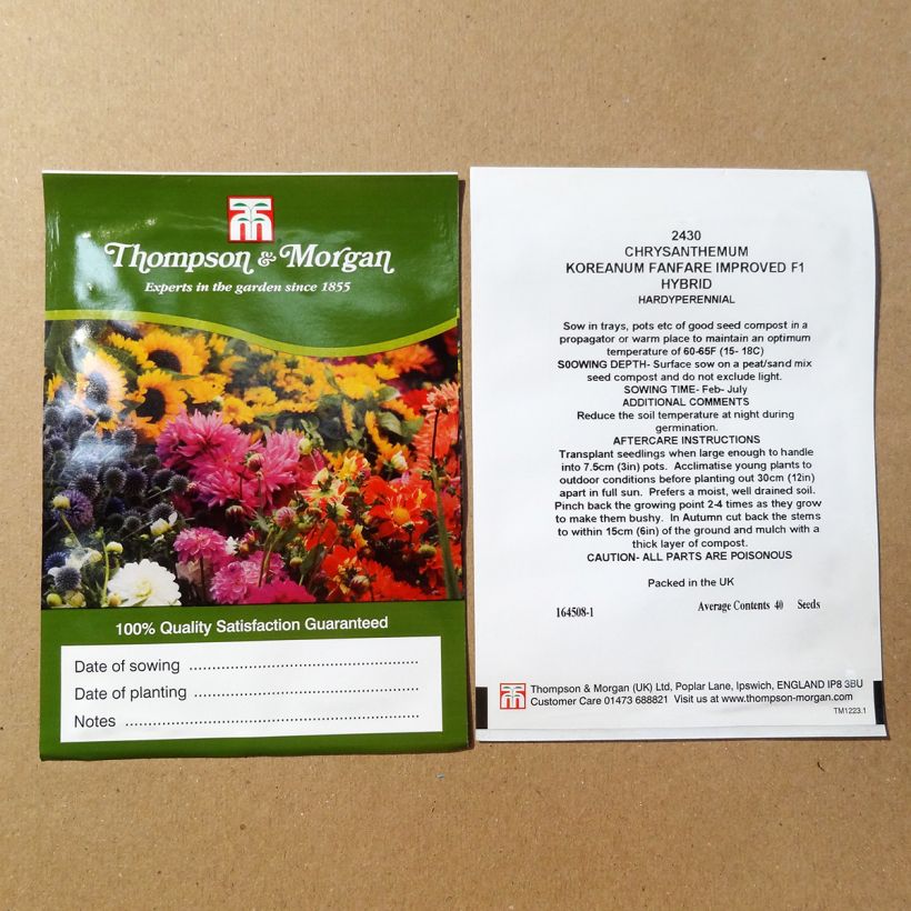Exemple de spécimen de Graines de Chrysanthème des fleuristes Fanfare Improved F1  le sachet de +/- 200 graines environ (minimum 0,1g) tel que livré