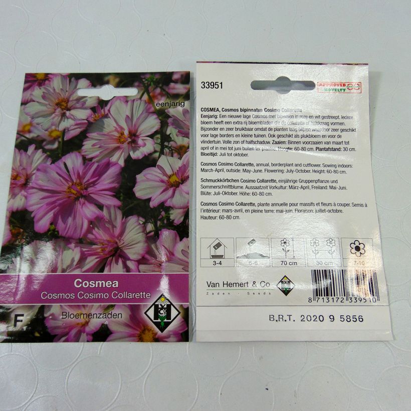 Exemple de spécimen de Graines de Cosmos Cosimo Collarette - Cosmos bipinnatus le sachet de 60 graines environ (0.5g) tel que livré