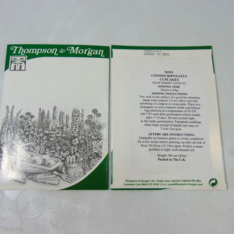 Exemple de spécimen de Graines de Cosmos Cupcakes - Cosmos bipinnatus le sachet de +/- 100 graines environ (minimum 1g) tel que livré