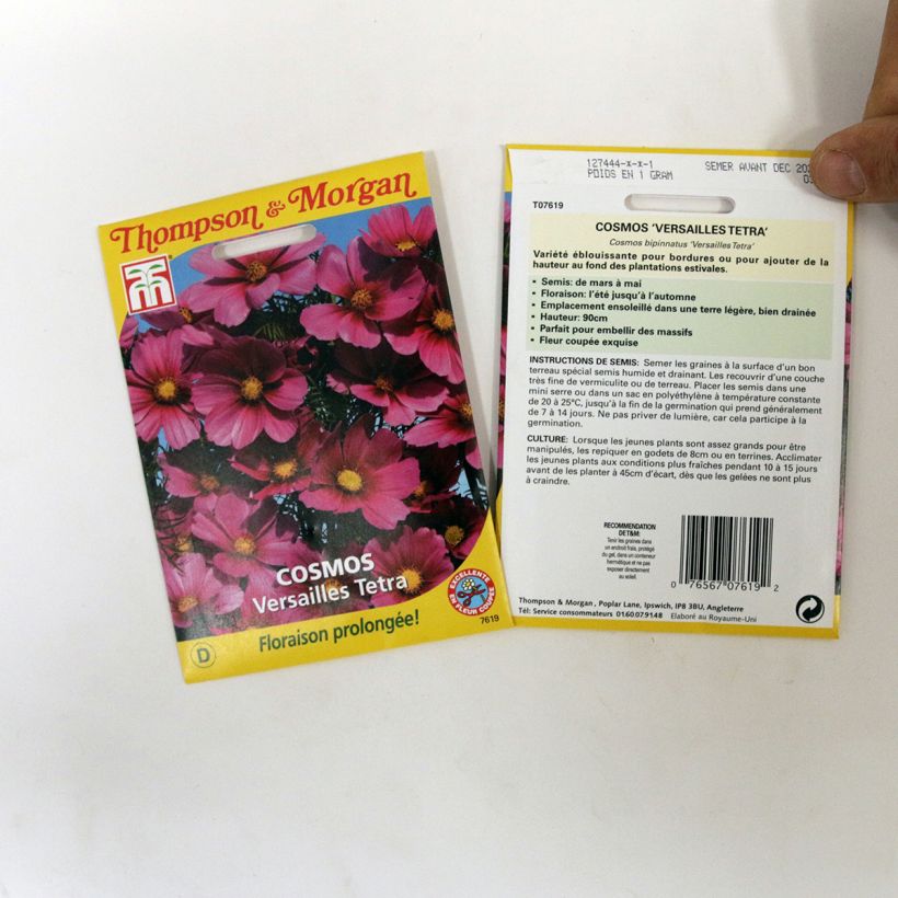 Exemple de spécimen de Graines de Cosmos Versailles Tetra - Cosmos bipinnatus le sachet de 60 graines environ tel que livré