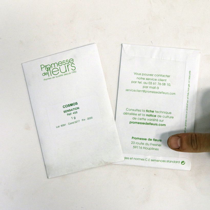 Exemple de spécimen de Graines de Cosmos Sensation en mélange - Cosmos bipinnatus le sachet de +/- 200 graines environ (minimum 1,5g) tel que livré