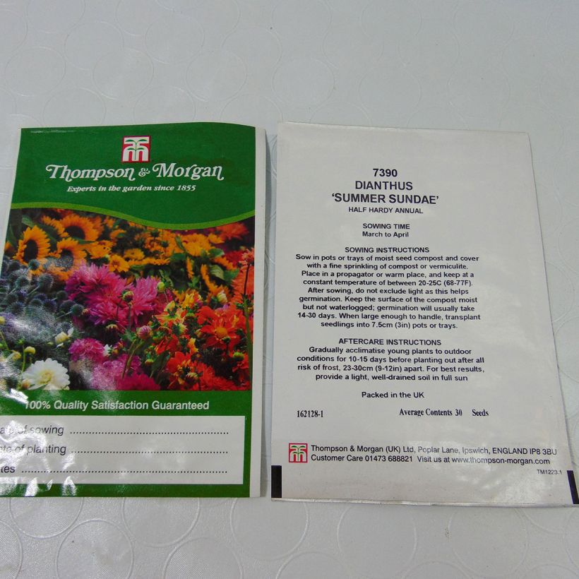 Exemple de spécimen de Graines de d'Oeillet de poète Summer Sundae - Dianthus barbatus le sachet de 30 graines environ tel que livré