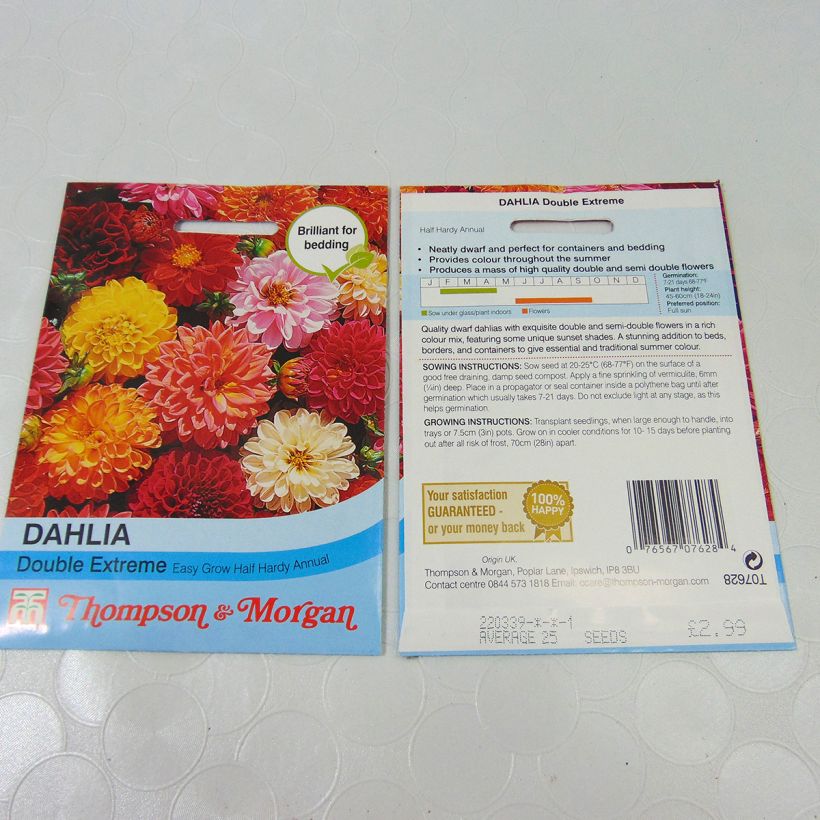 Exemple de spécimen de Graines de Dahlia nain Double Extreme en mélange le sachet de +/- 50 graines environ (minimum 0,5g) tel que livré