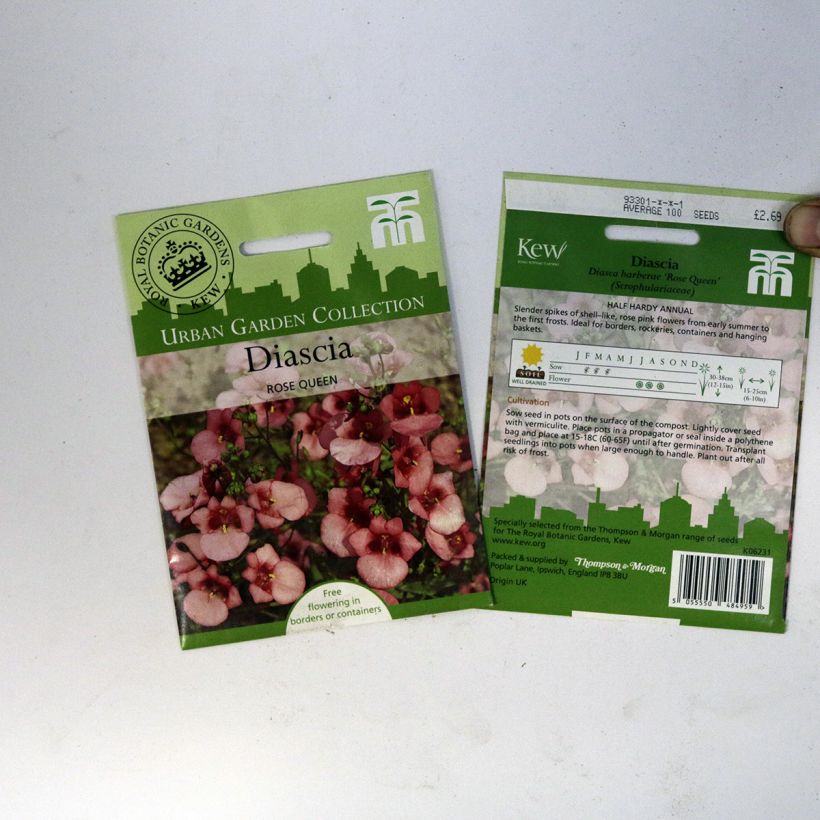 Exemple de spécimen de Graines de Diascia barberae Rose Queen - Diascie rose le sachet de +/- 550 graines environ (minimum 0,15g) tel que livré
