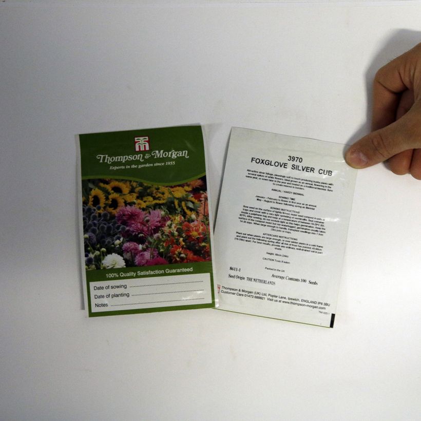 Exemple de spécimen de Graines de Digitale Silver Club le sachet de 100 graines environ tel que livré